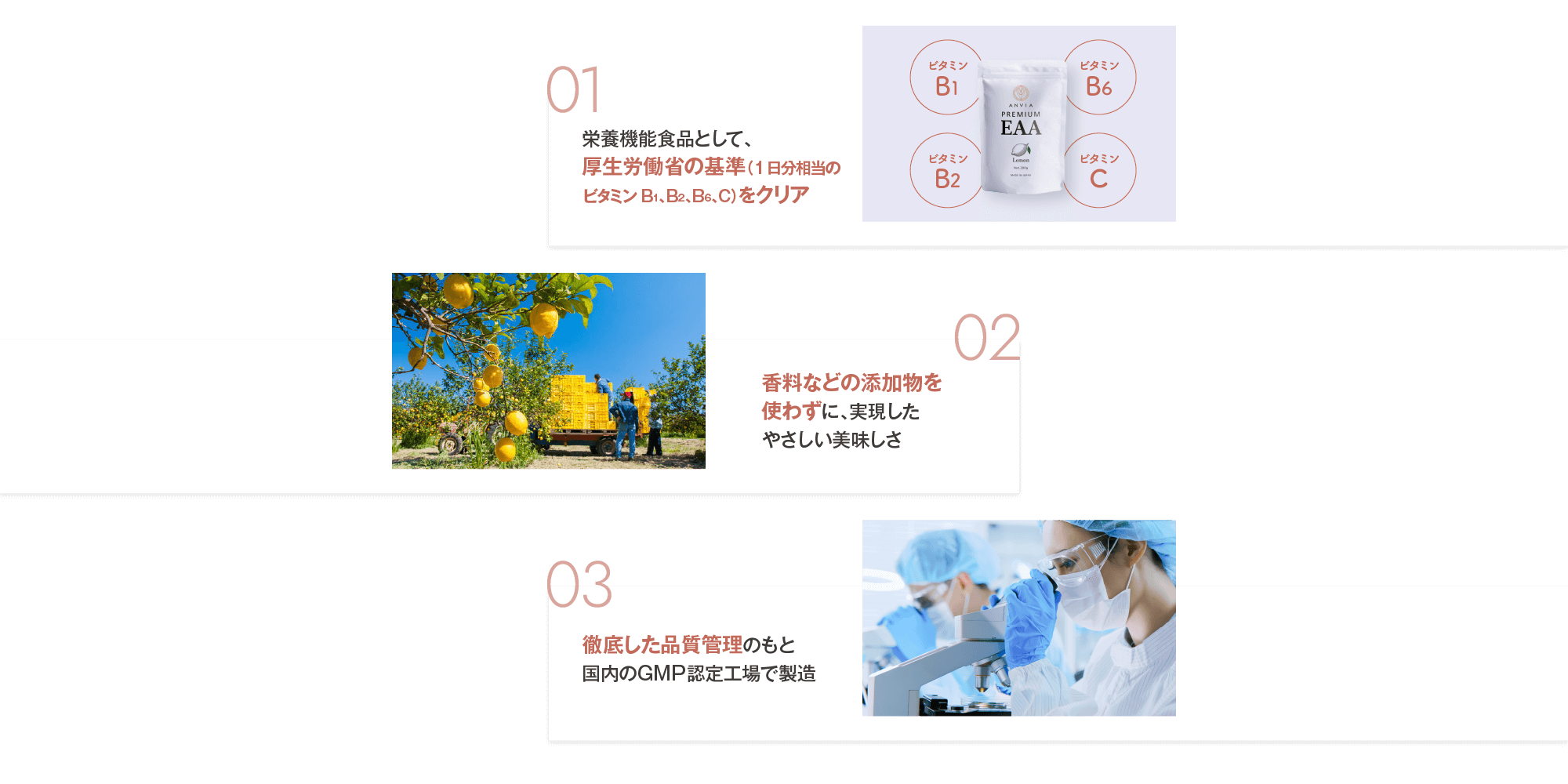 栄養機能食品として、厚生労働省の基準（1日相当分のビタミンB1、B2、B3、C）をクリア