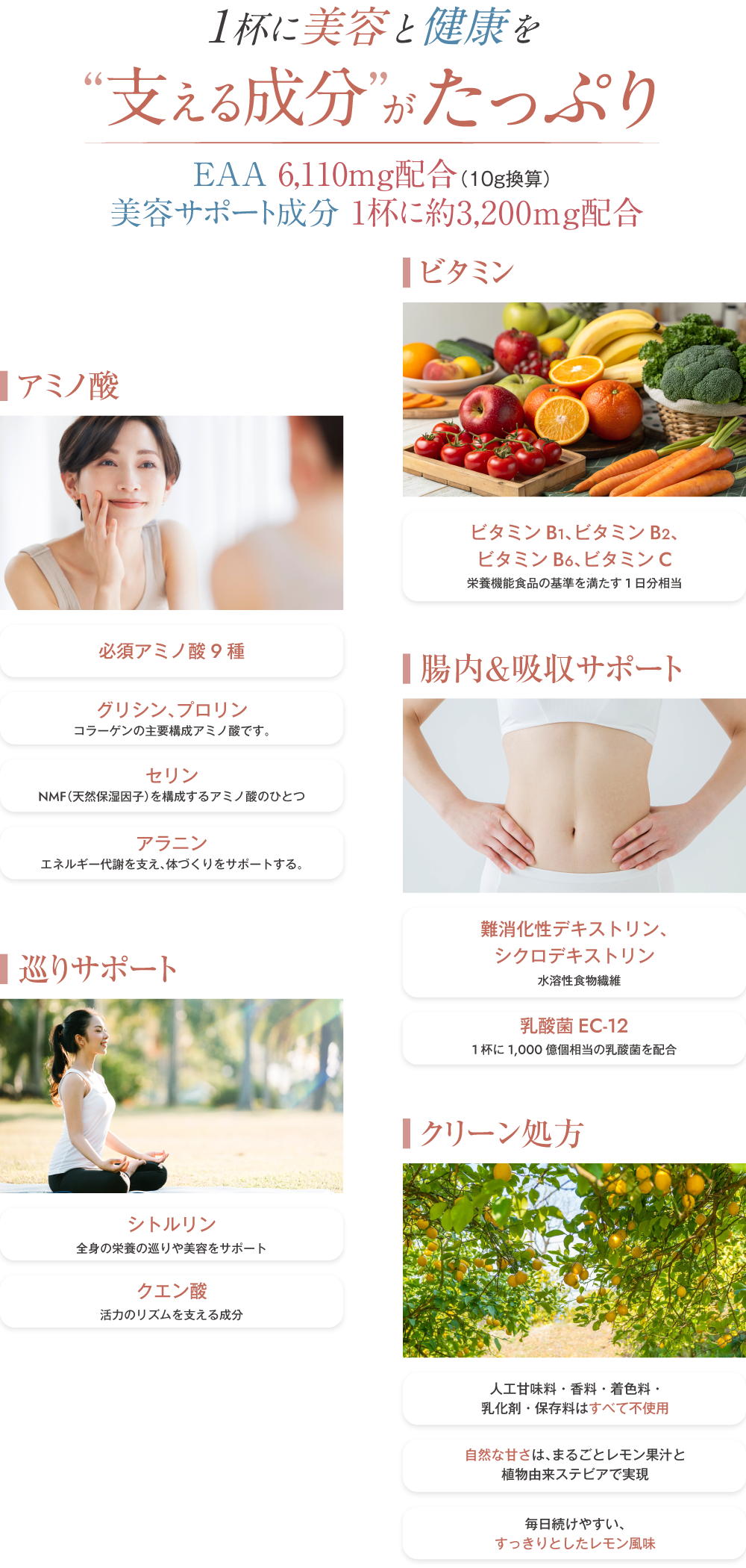 1杯に美容と健康を”支える成分”がたっぷり