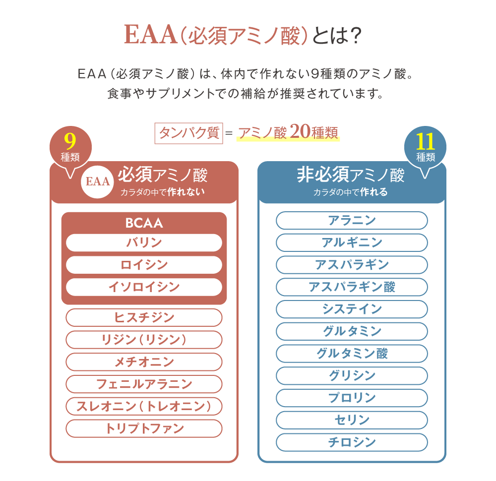 EAA（必須アミノ酸）とは？