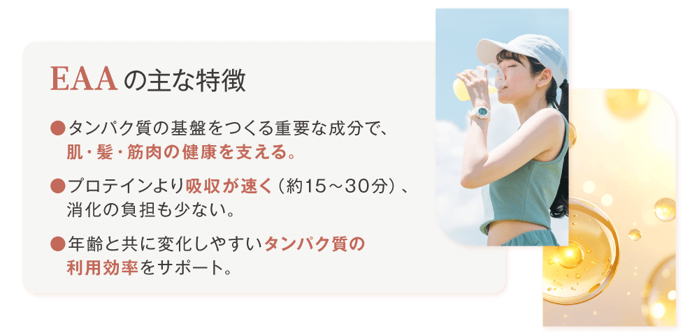 EAAの主な特徴