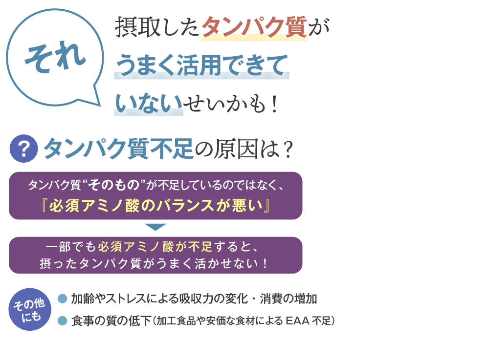 それ摂取したタンパク質がうまく活用できていないかも！