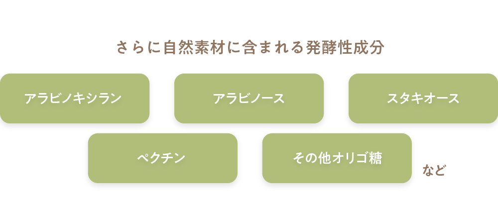 さらに自然素材に含まれる発酵性成分 アラビノキシラン アラビノース スタキオース ペクチン その他オリゴ糖 など